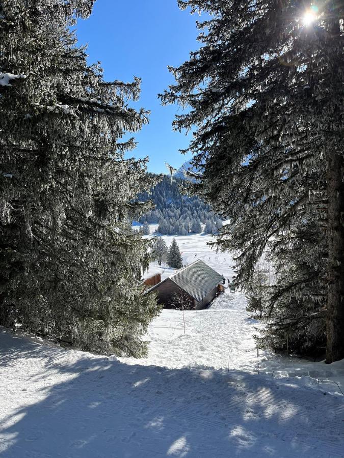 Chamrousse Appart 8 Personnes Au Pied Des Pistes מראה חיצוני תמונה