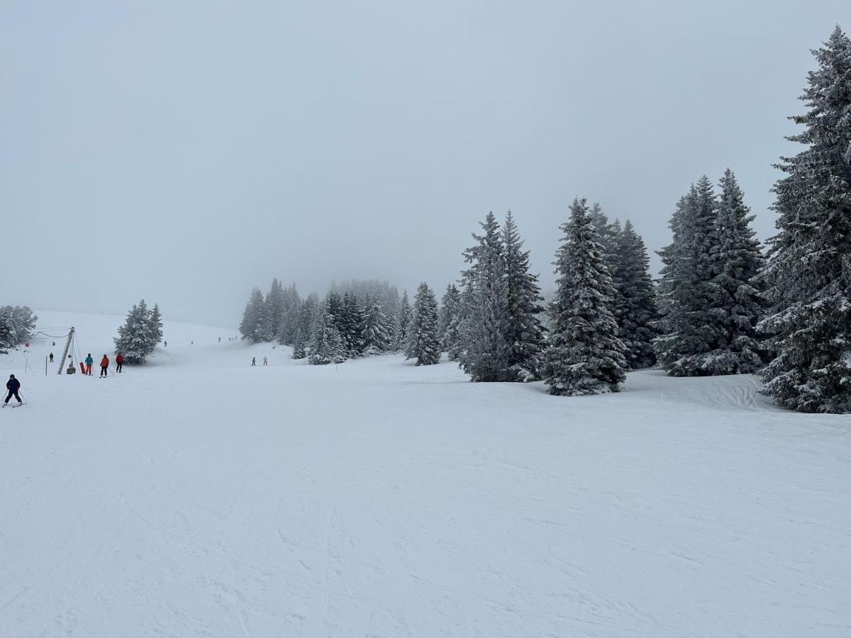 Chamrousse Appart 8 Personnes Au Pied Des Pistes מראה חיצוני תמונה