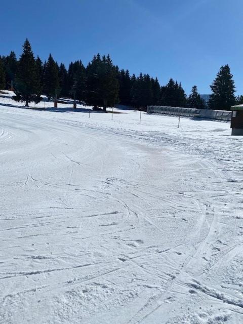 Chamrousse Appart 8 Personnes Au Pied Des Pistes מראה חיצוני תמונה